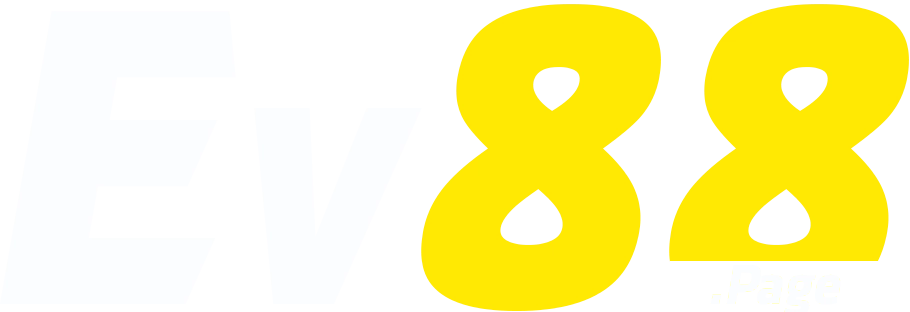 logo w8́
