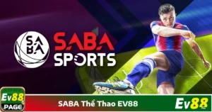 Hỗ trợ cá cược bóng đá trực tiếp với tỷ lệ cạnh tranh